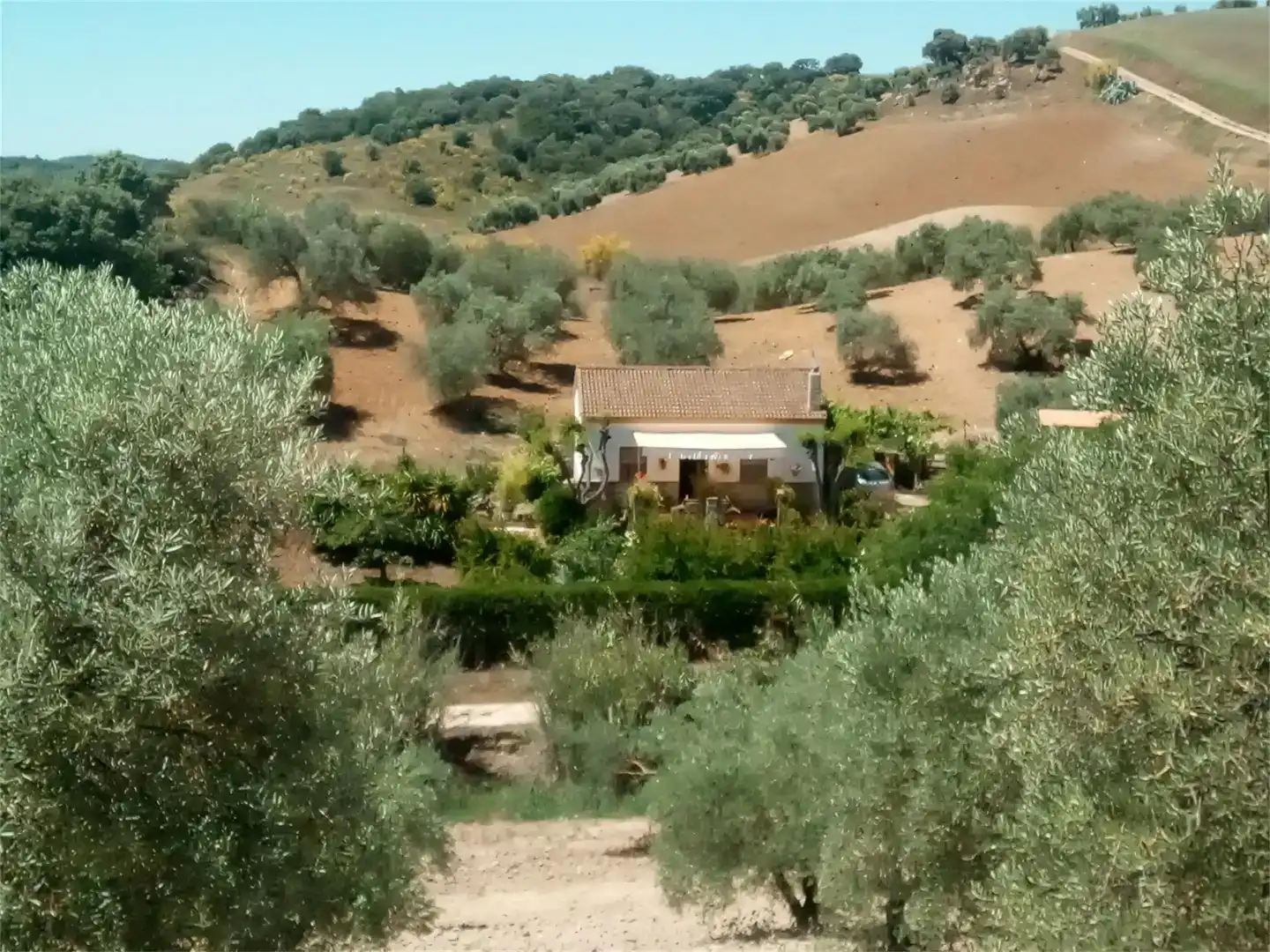 Jardín de Terreno en venta en Montellano