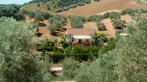 Foto 4 de Terreno en venta en A-8127, Montellano, Sevilla