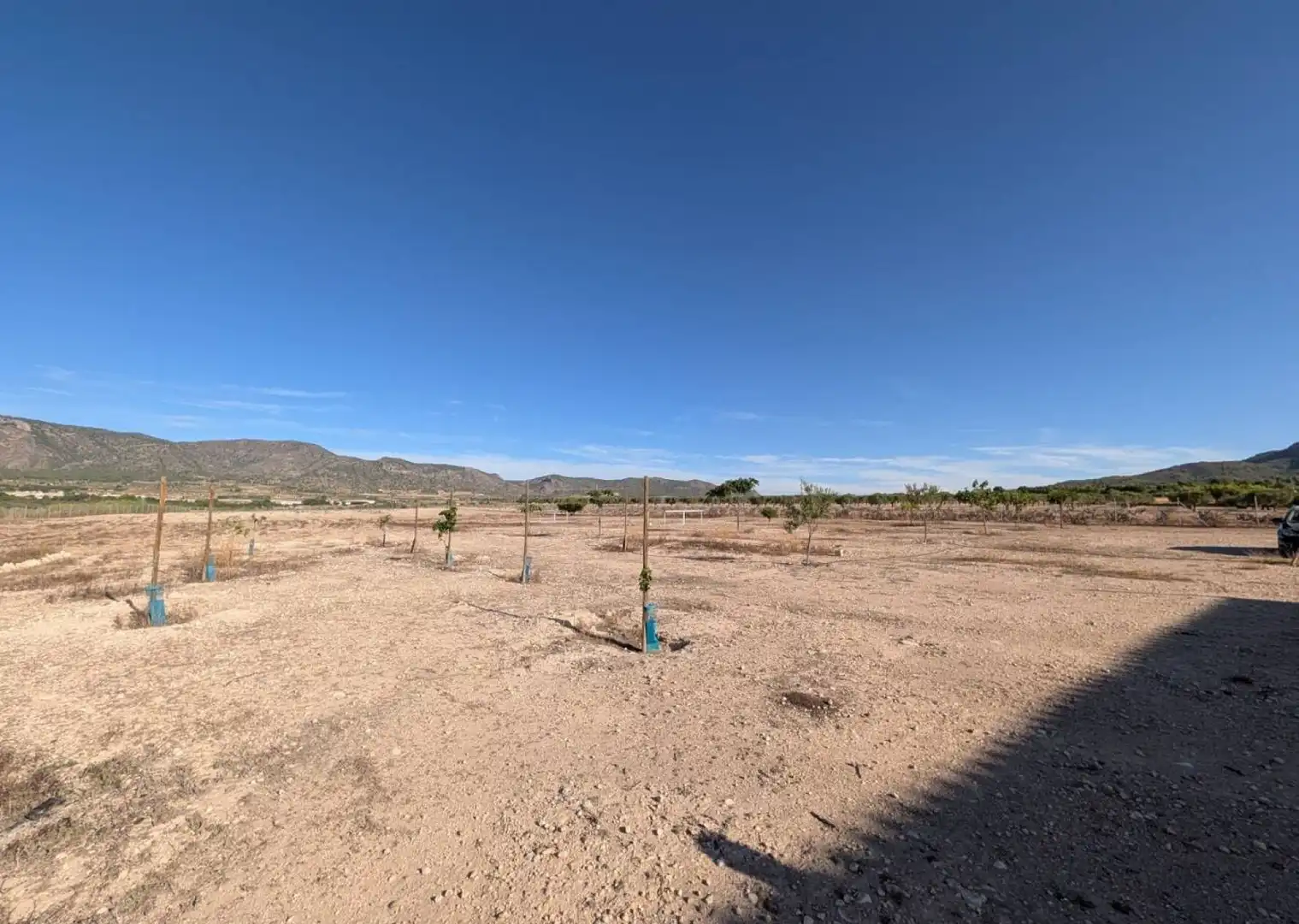 Country house for sale in Salinas, imagen 8