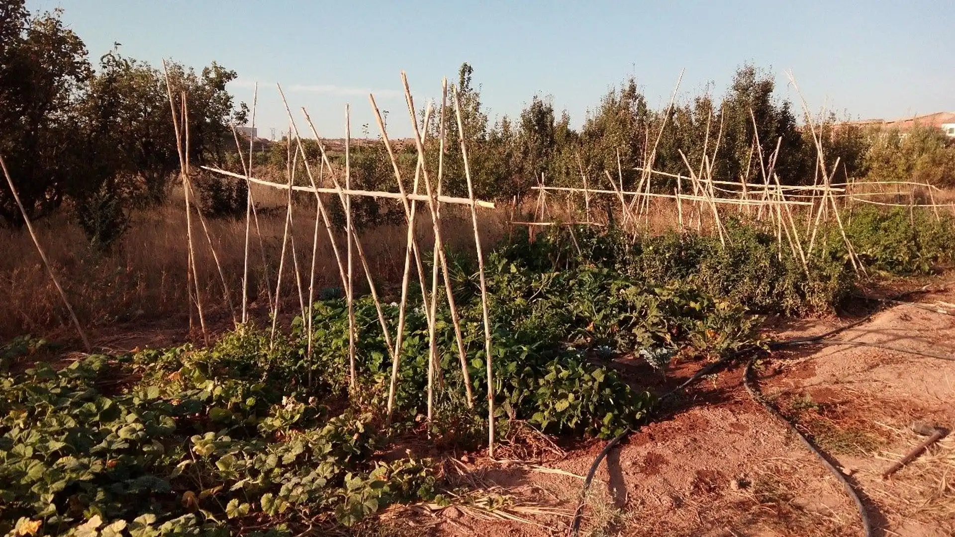 Jardín de Terreno en venta en Muel
