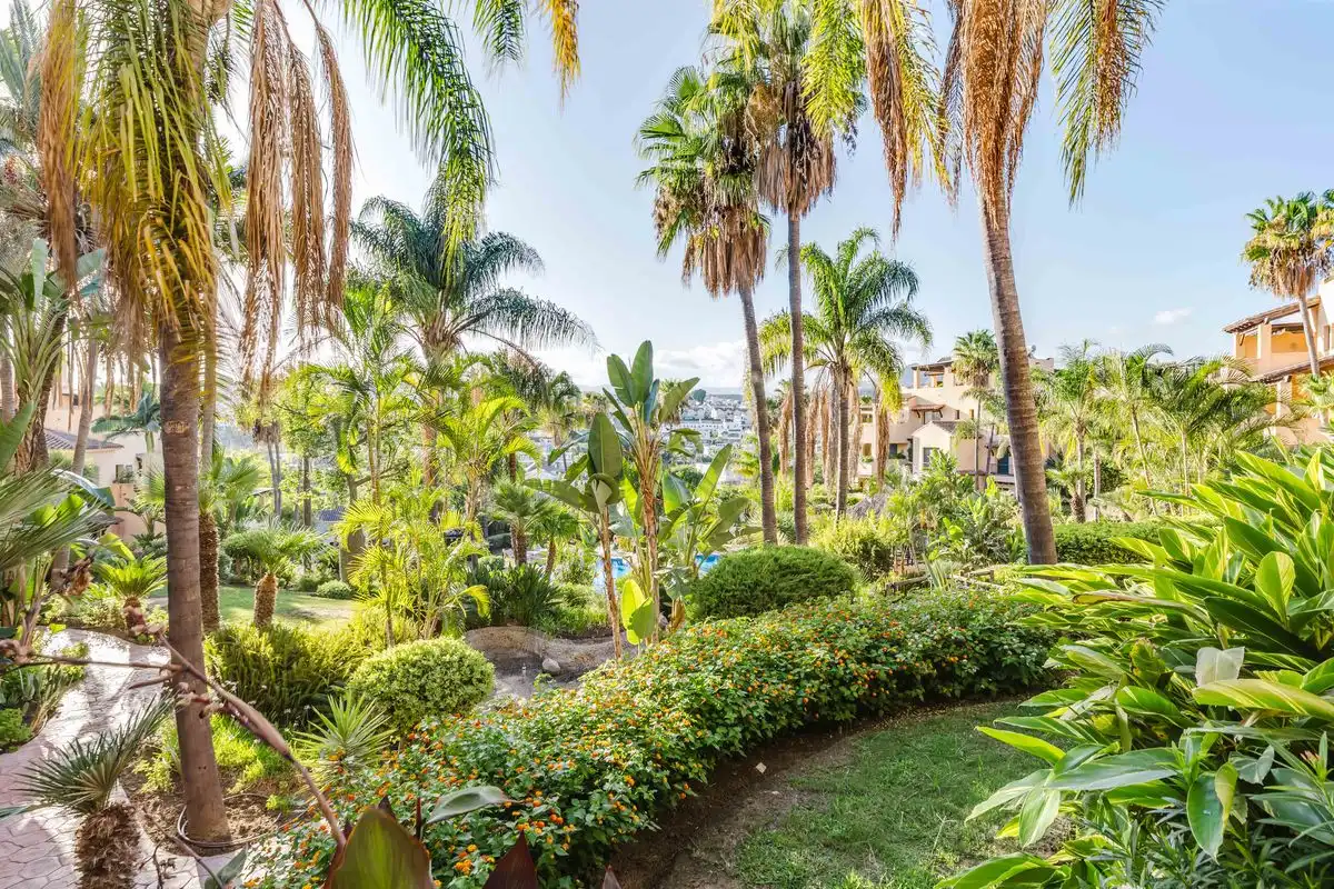 Piano terra con terrazza in vendita a Benamara - Atalaya, imagen 35