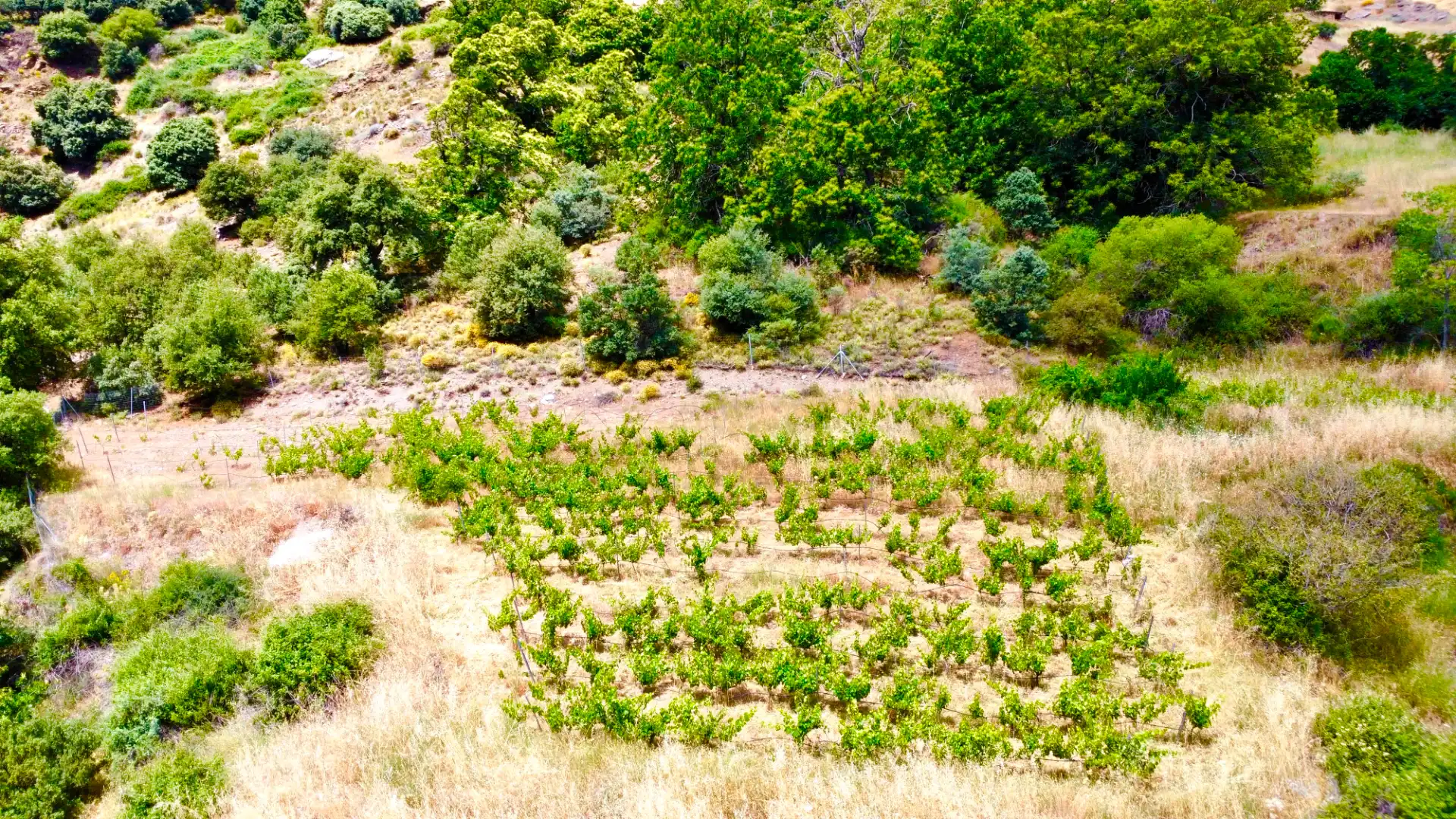 Terreni e lotti in vendita a Alpujarra de la Sierra, imagen 39