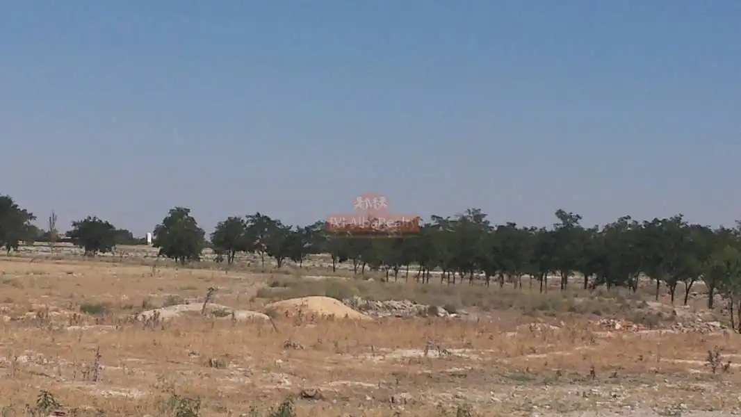 Terreno rustico in vendita a Pedanías - Extrarradio, imagen 4