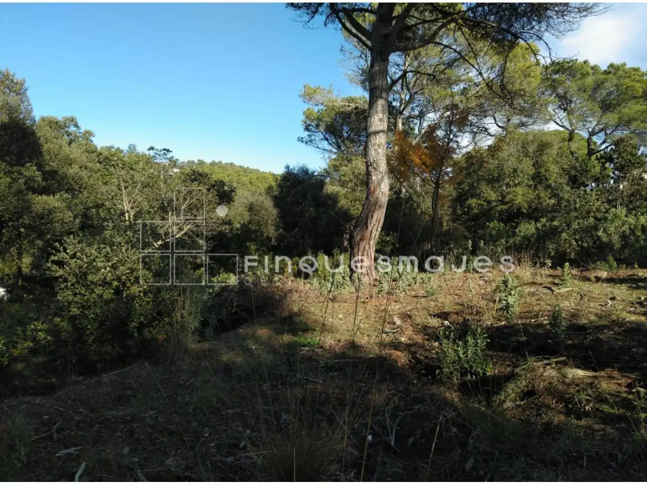 Terreno residencial en venta en Vacarisses, imagen 4