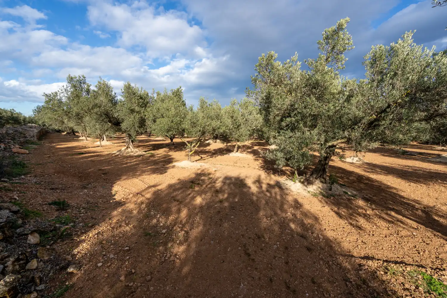 Terreno en venta en Aldover