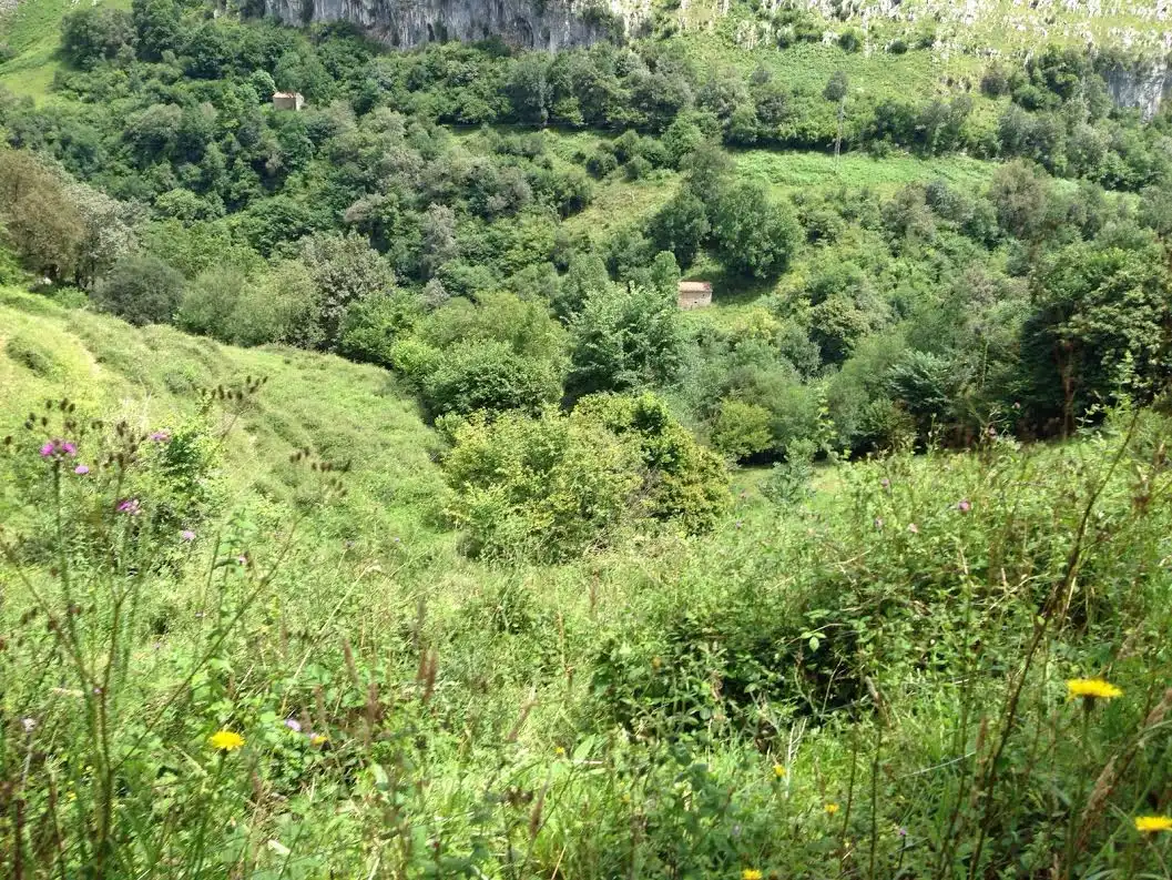 Finca rústica en venta en Barrio Rubalcaba, Liérganes