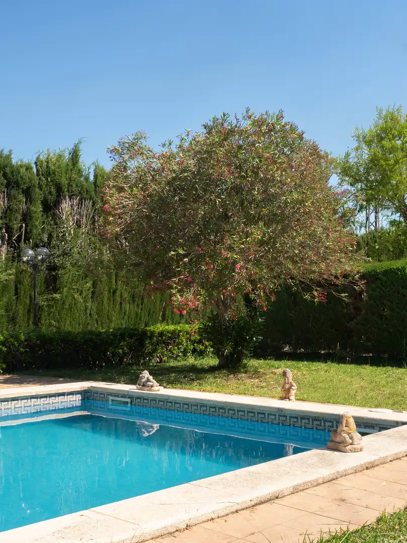 Casa amb terrassa en venda a Centro, imagen 13