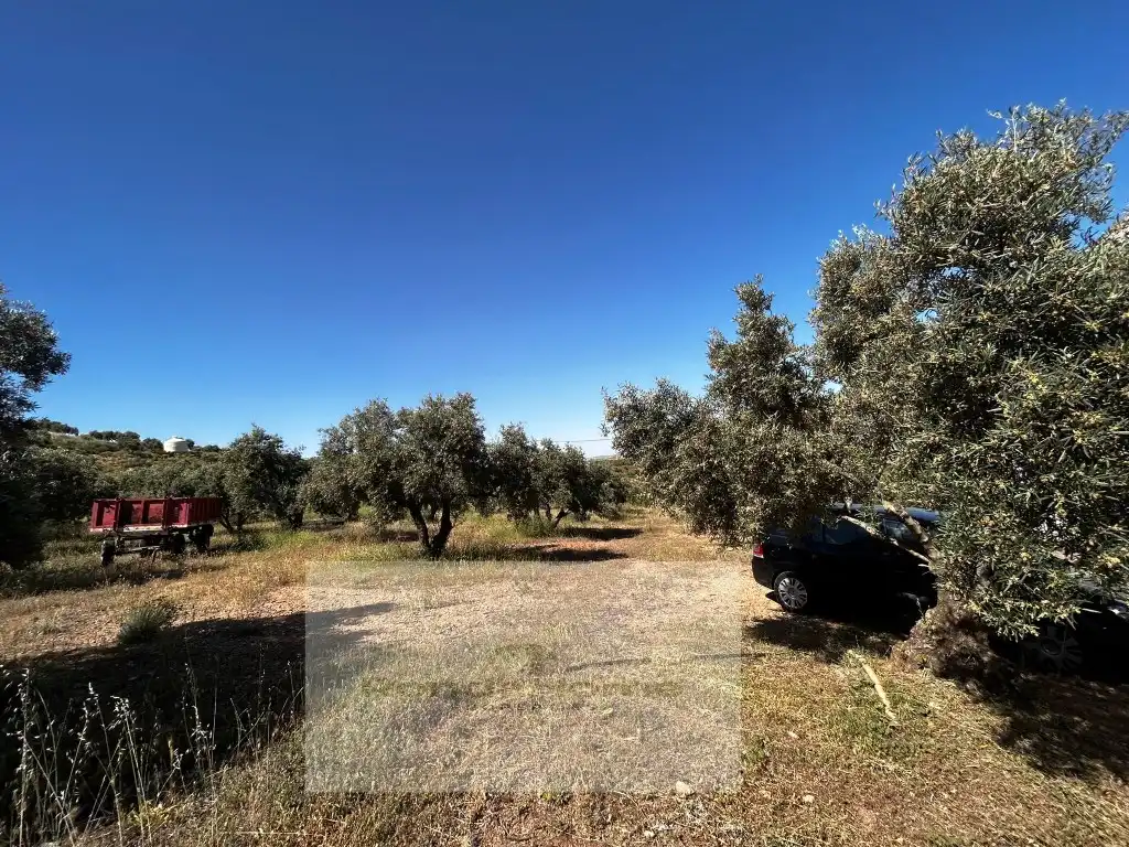 Finca rústica en venta en Partidas Norte