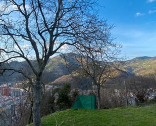 Vista exterior de Casa o xalet en venda en Eibar amb Jardí privat, Terrassa i Traster