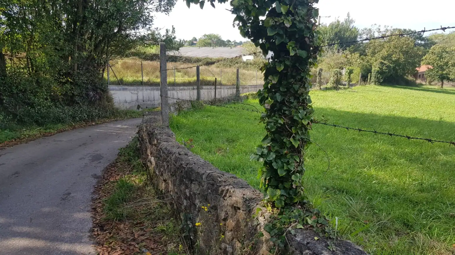 Residential land for sale in San Miguel - SAN MIGUEL DE LA BARRERA, imagen 11