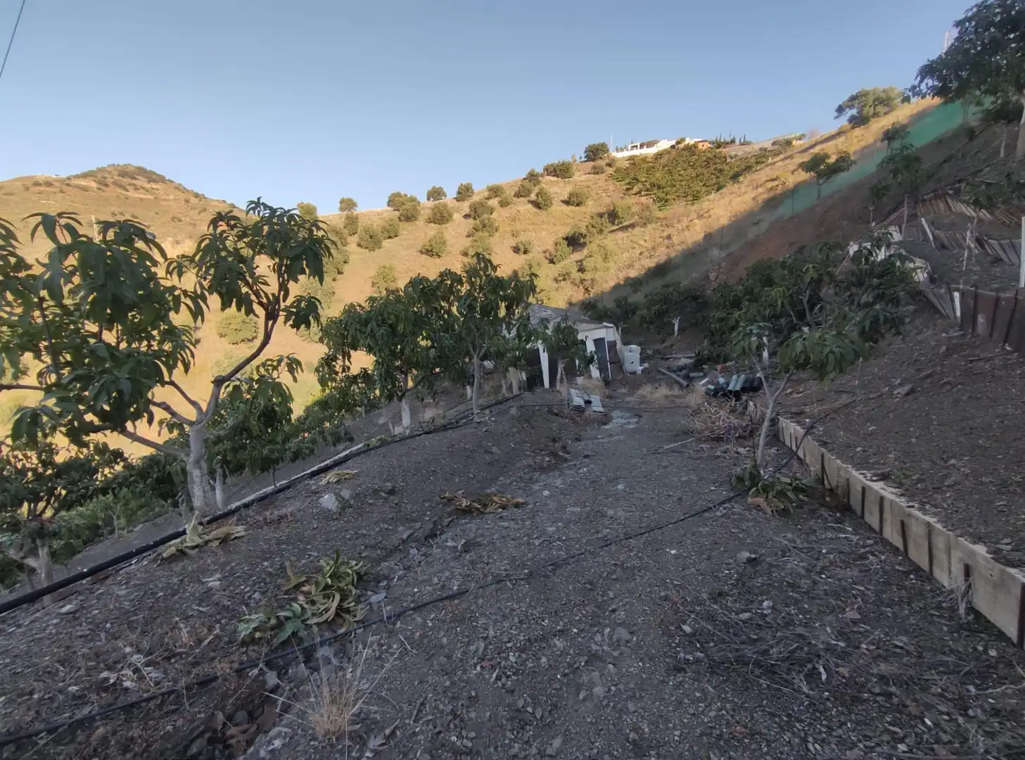 Finca rústica en venta en Cútar con Jardín privado, Terraza y Piscina