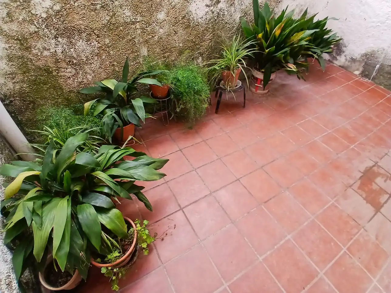 Terrassa de Finca rústica en venda en Calatorao amb Jardí privat, Terrassa i Moblat