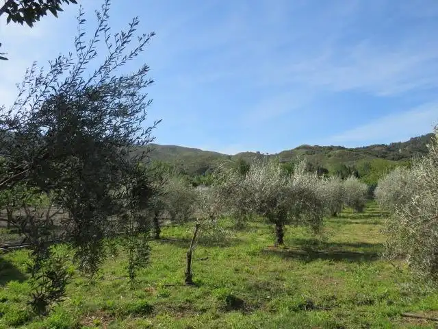 Terreno en venta en Cenes de la Vega