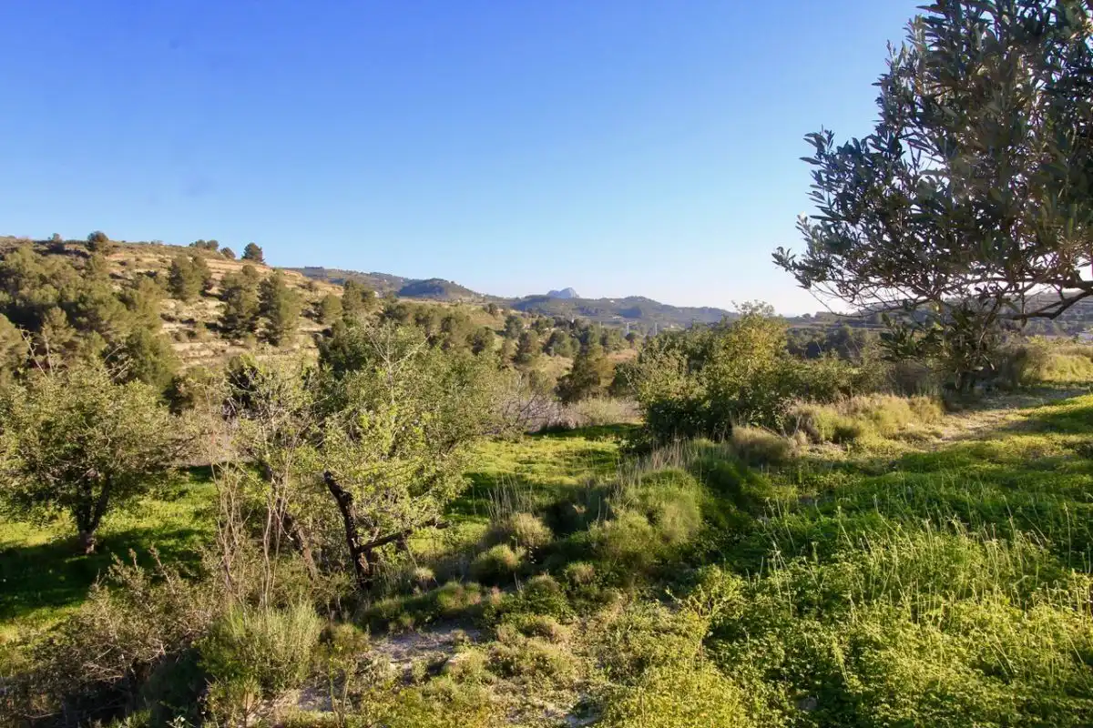 Terreno rústico en venta en Benissa pueblo, imagen 3