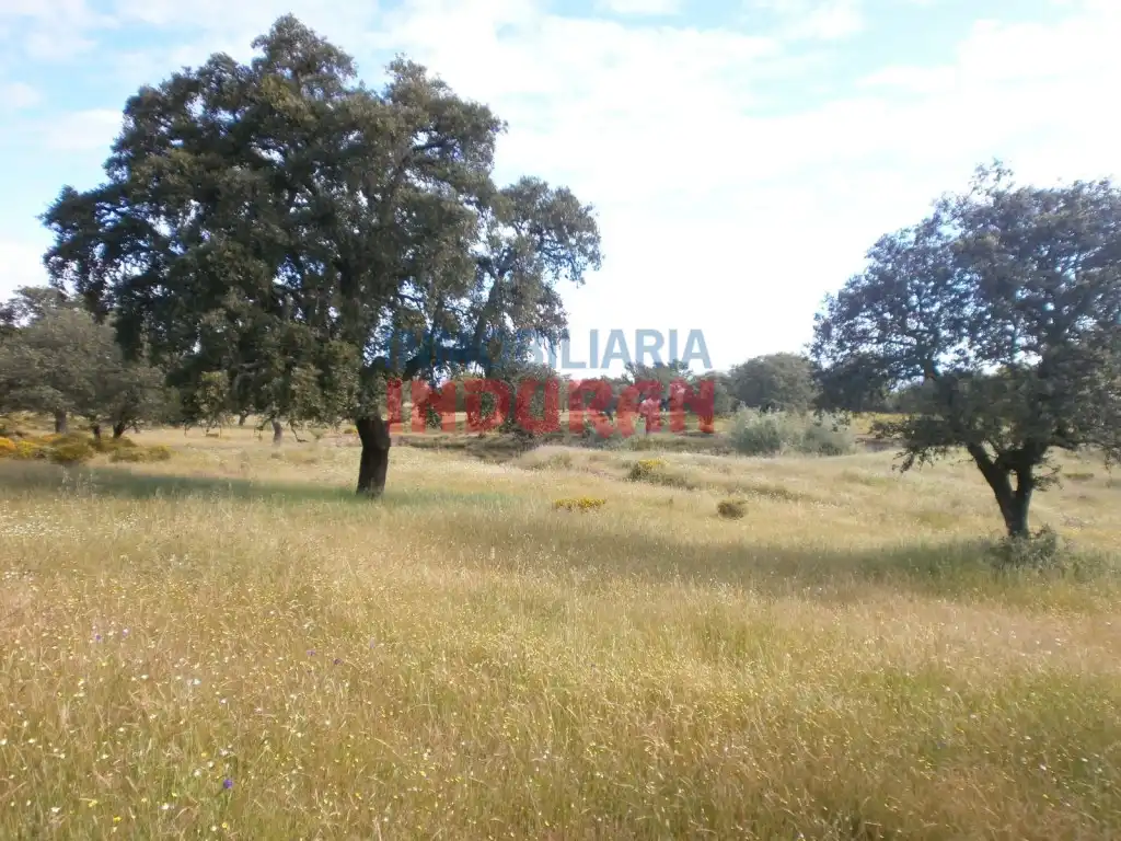 Casa rústica en venda a Malpartida de Plasencia, imagen 4