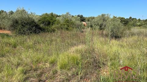 Photo 5 of Houses for sale in Cervera del Maestre, Castellón