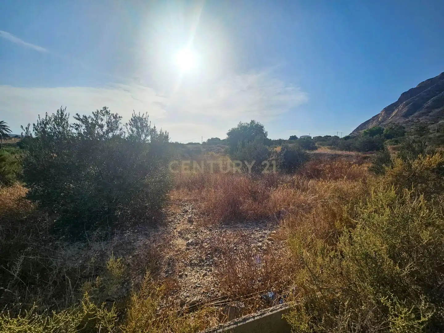 Terreno en venta en Alicante / Alacant