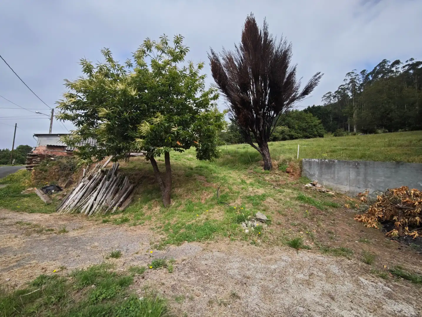 Houses for sale in Moeche  with Private garden