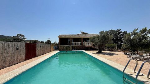 Foto 2 de Finca rústica en venta en Las Cruces, Villena