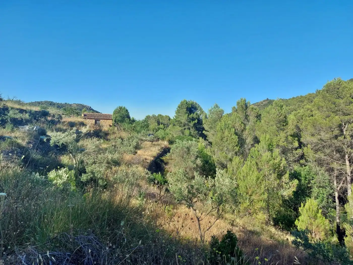 Maison à vendre à Xaló, imagen 9