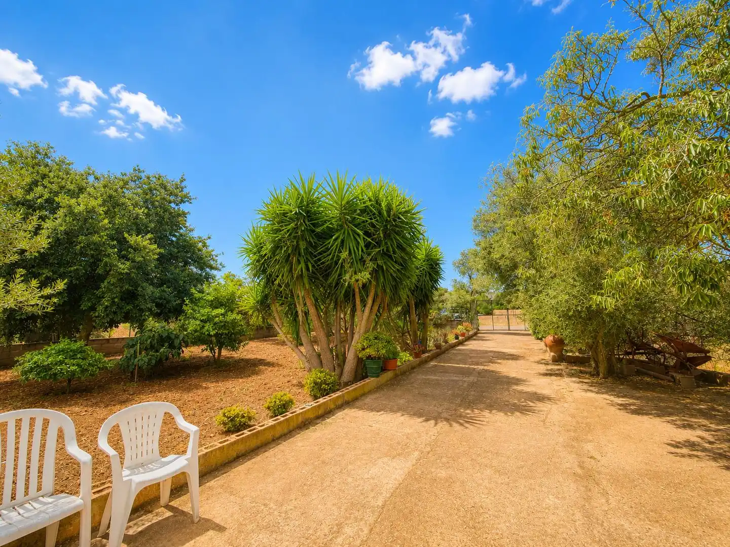 Jardín de Casa o chalet en venta en Santa Eugènia con Jardín privado y Terraza