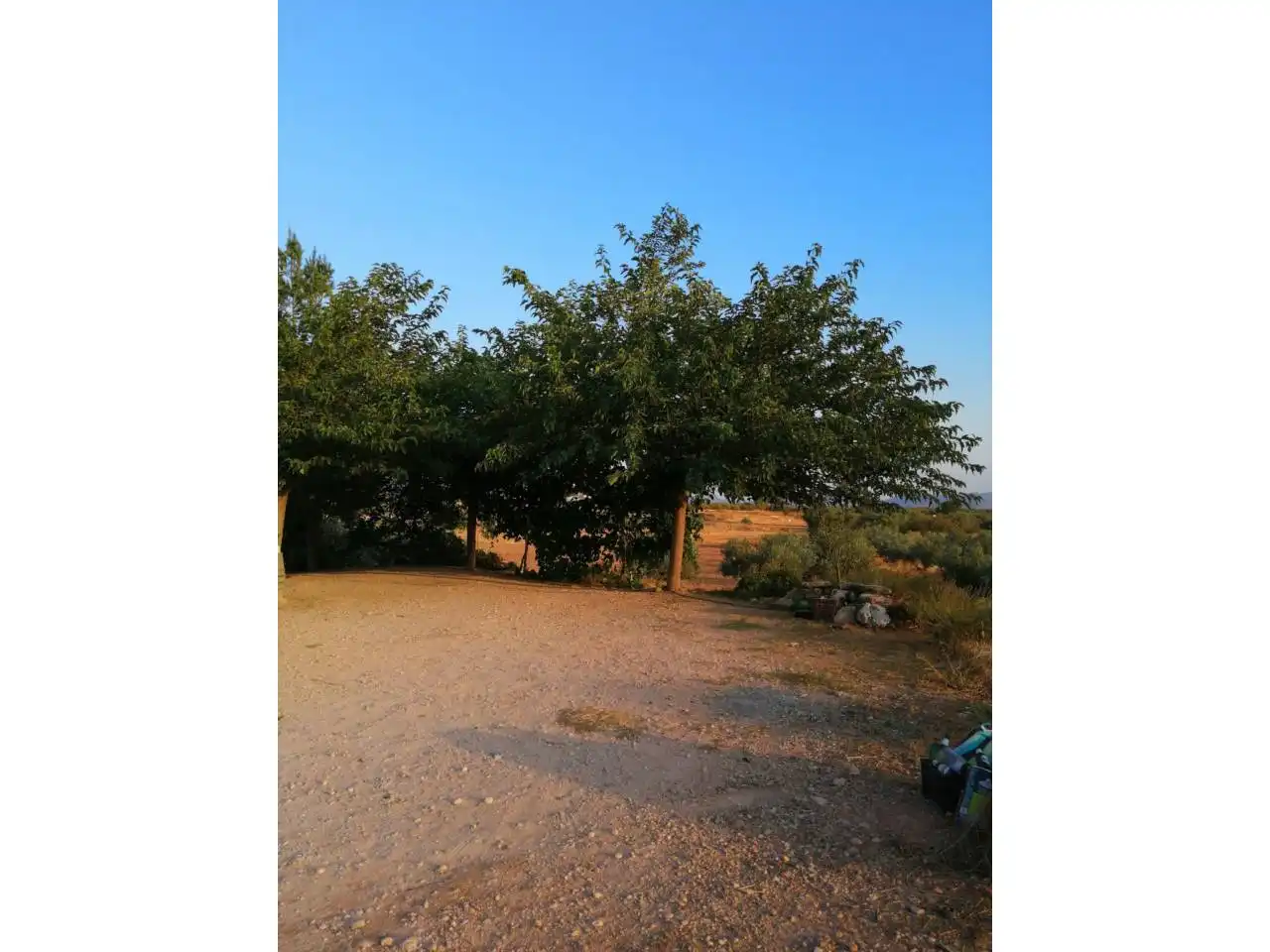 Terrenos y solares en venta en Calle Ctra de Lietor-Hellín, imagen 3