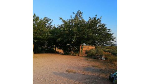 Finca rustica en venta en Hellín, image 3