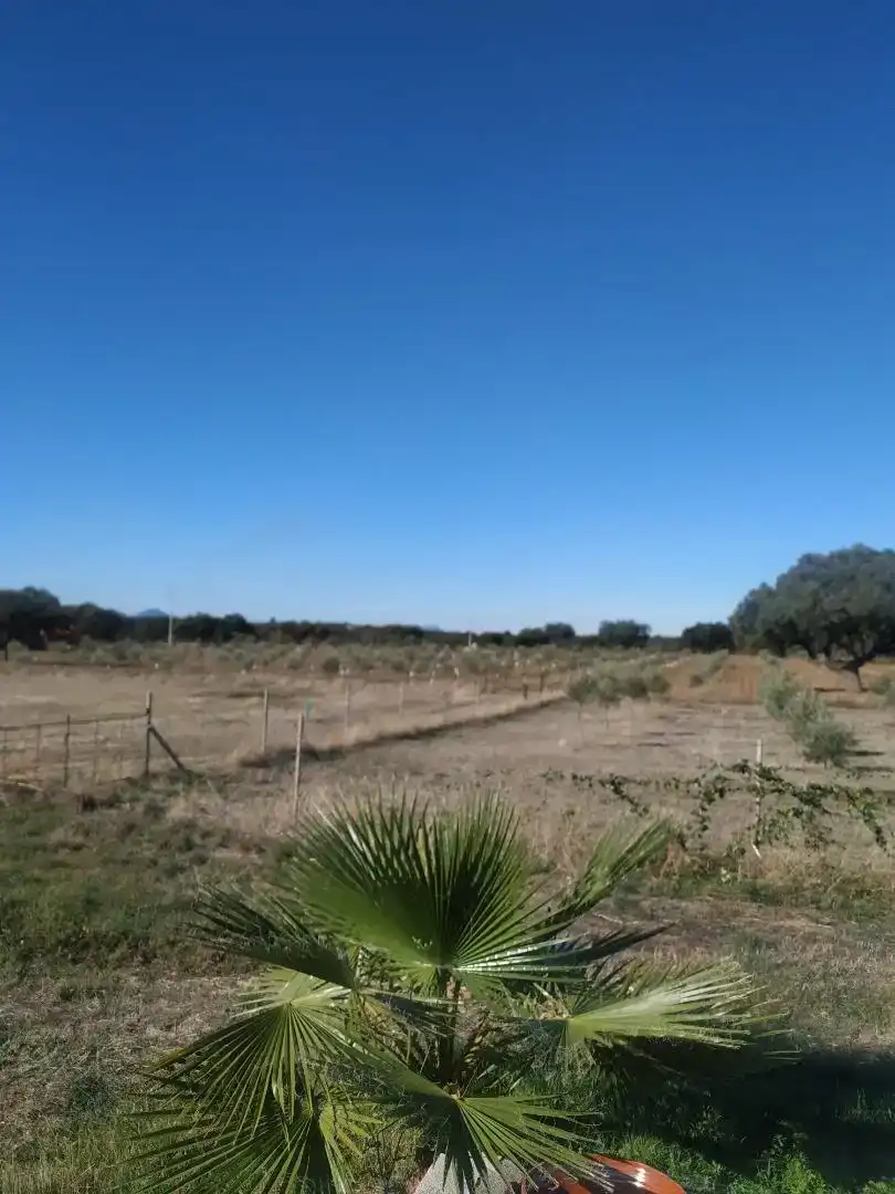 Terreno en venta en Chillón