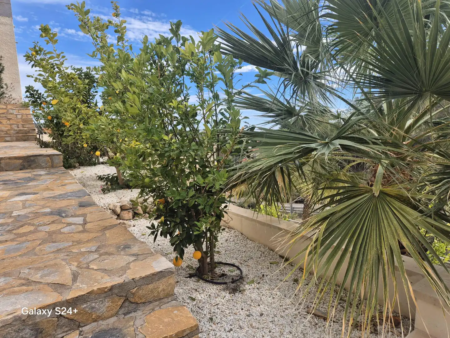 Casa o chalet en venta en Pueblo Español - Coveta Fumá