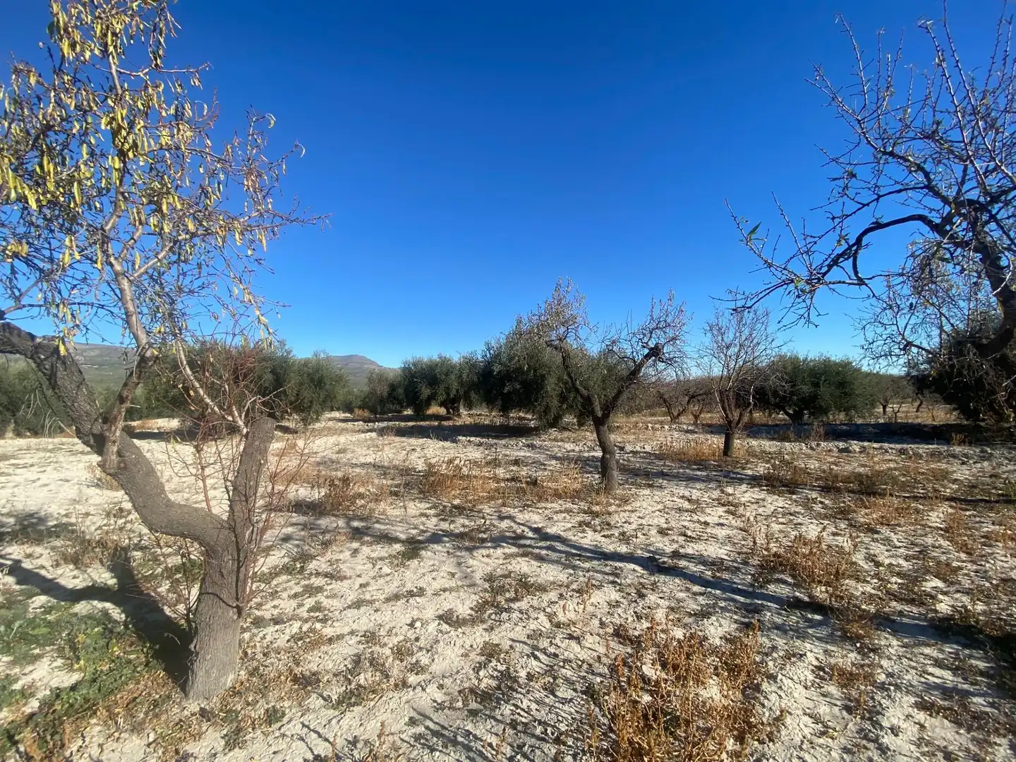 Terreni e lotti in vendita a Moratalla, imagen 6