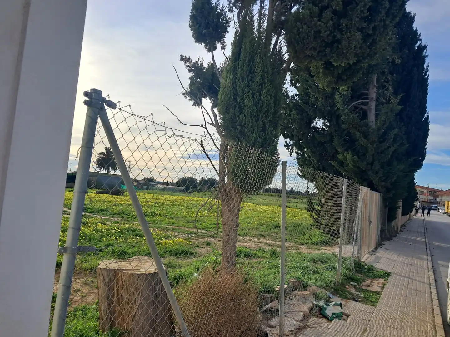 Terreny residencial en venda a Calle Doctor Murillo Palacios 41, imagen 3