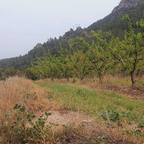 Terreno en Venta en Benifallet