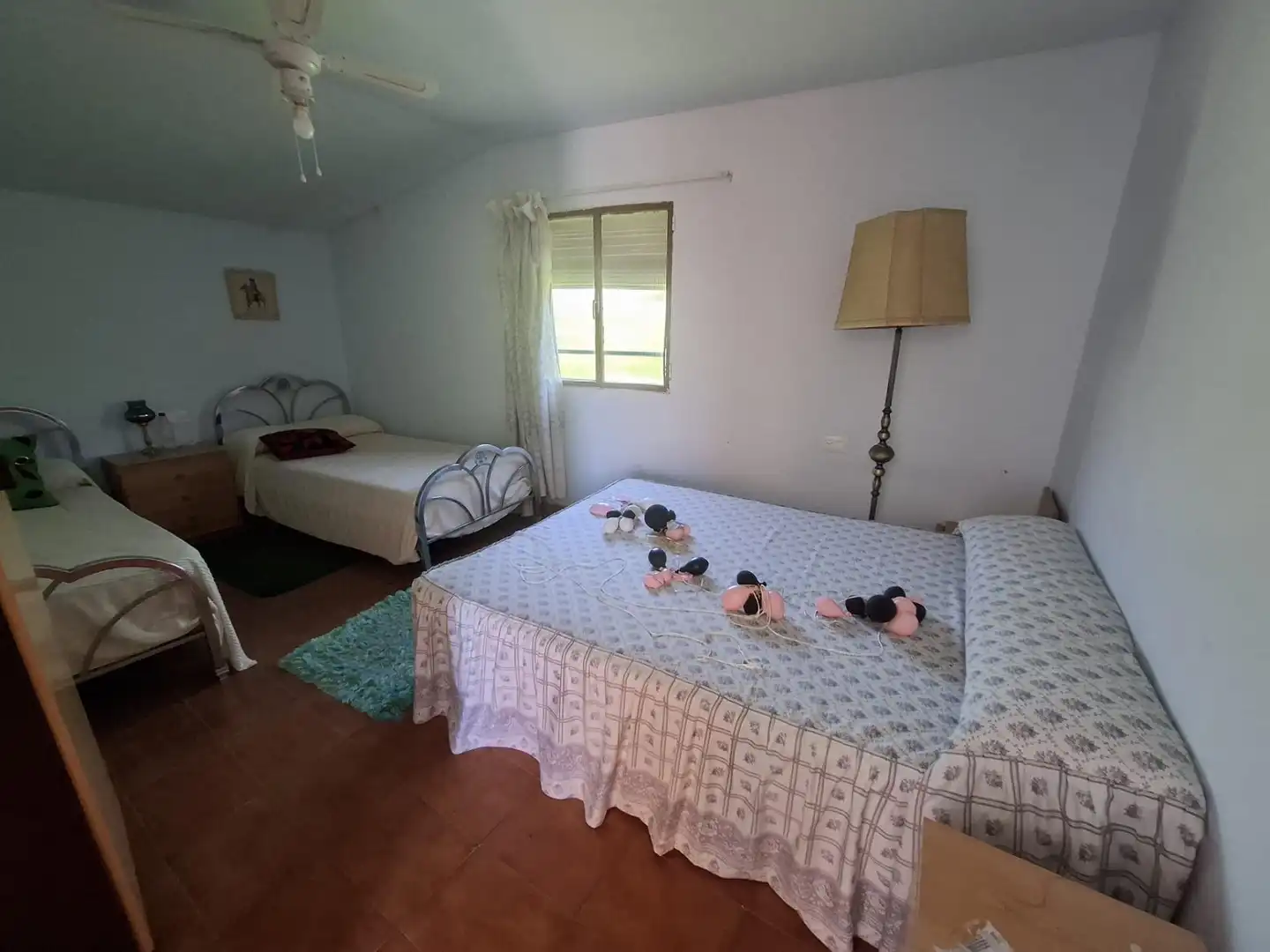 Finca rústica en venta en Tarazona