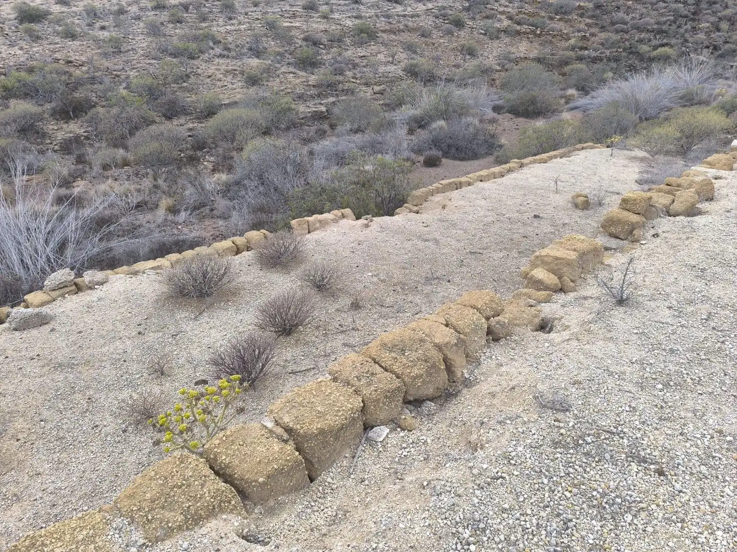 Exterior view of Land for sale in Fasnia