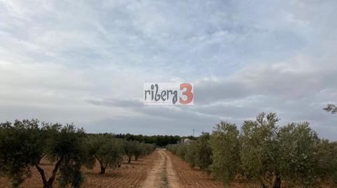 Foto 5 de Finca rústica en venta en Paraje Corral de Narro, Pozohondo, Albacete