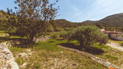 Photo 2 of Houses for sale in Ulldecona, Tarragona