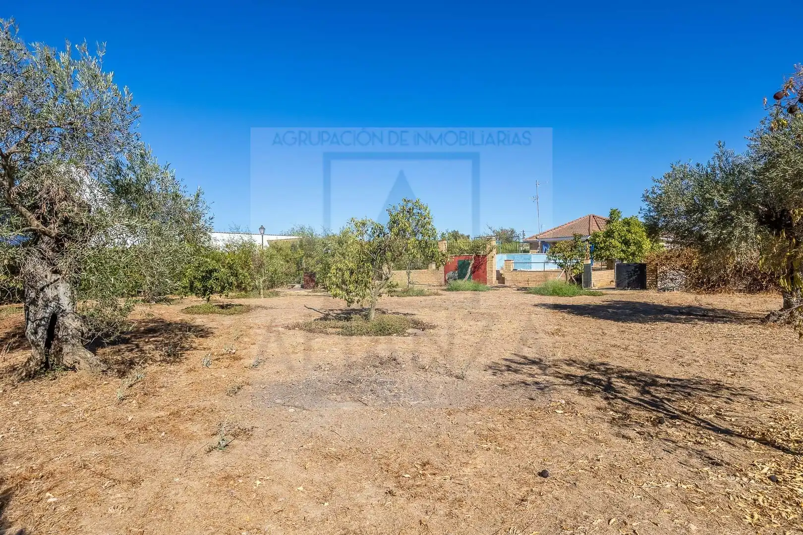 Houses for sale in Sanlúcar la Mayor, Sevilla