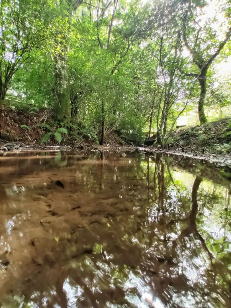 Rural land for sale in Parroquias Rurales, imagen 7
