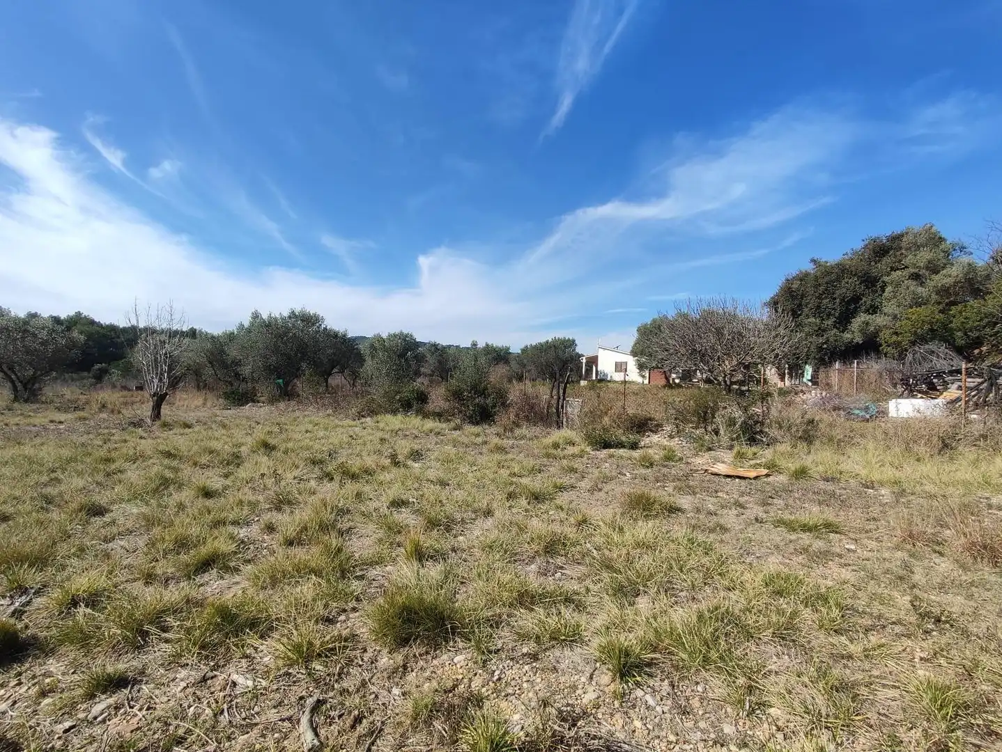 Country homes for sale in Collbató