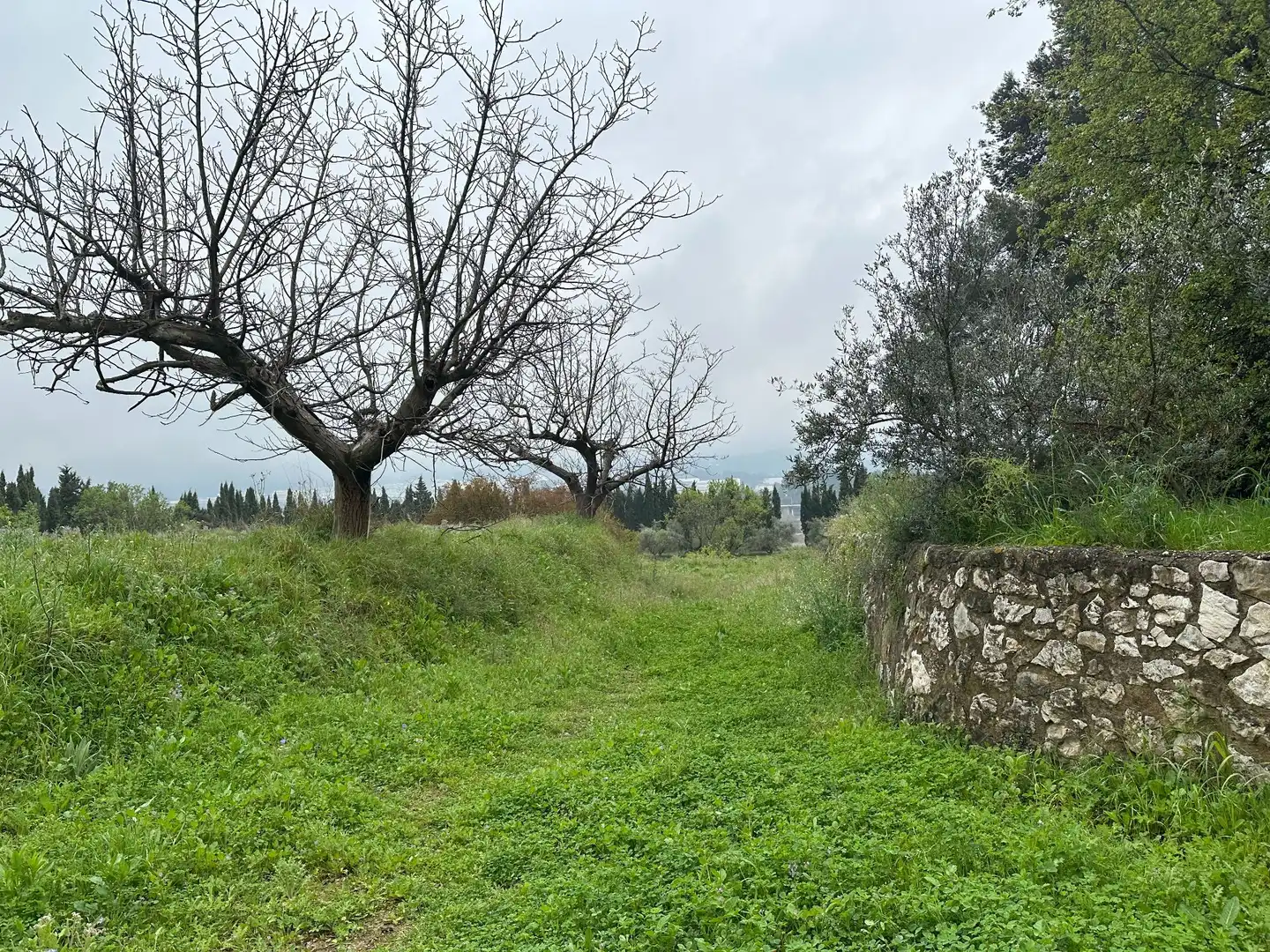 Grundstücke zum Verkauf in Agullent