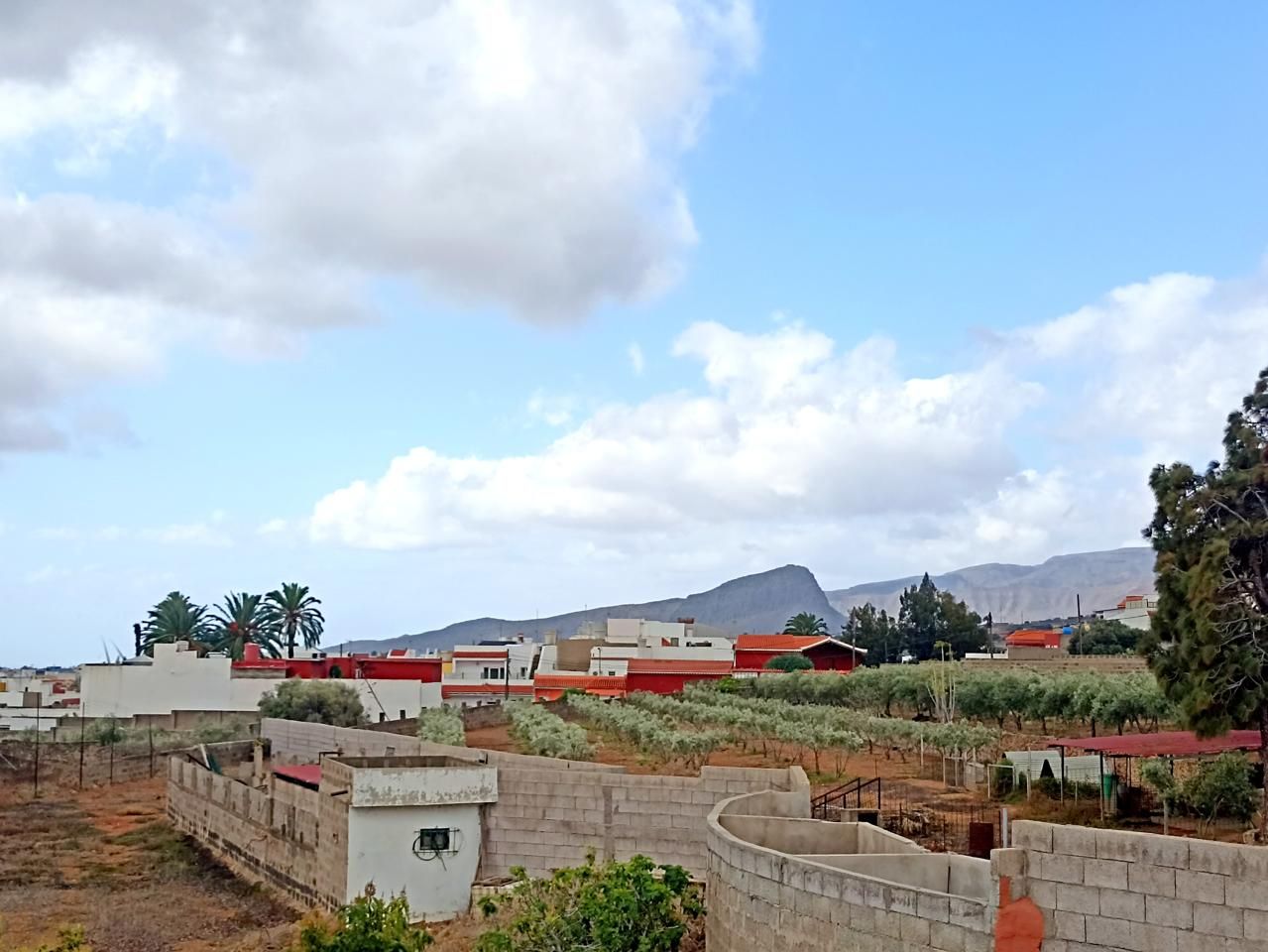 Vista exterior de Casa o xalet en venda en Ingenio amb Jardí privat i Terrassa
