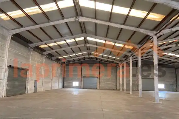 Industrial building to rent in Riba-roja de Túria, imagen 2