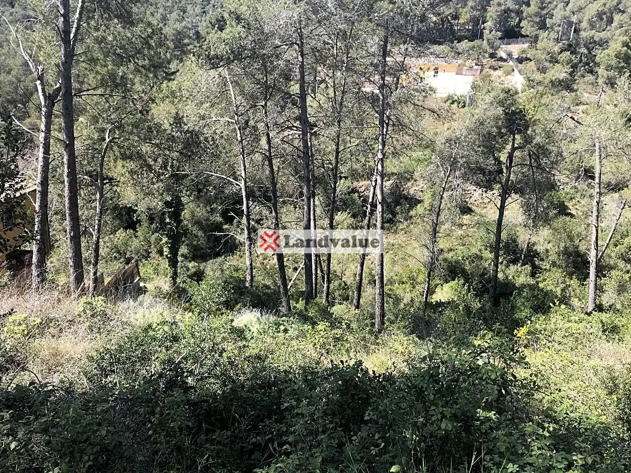 Terrenys i solars en venda a OBAGUES 3 URB DEL PELAG, imagen 7