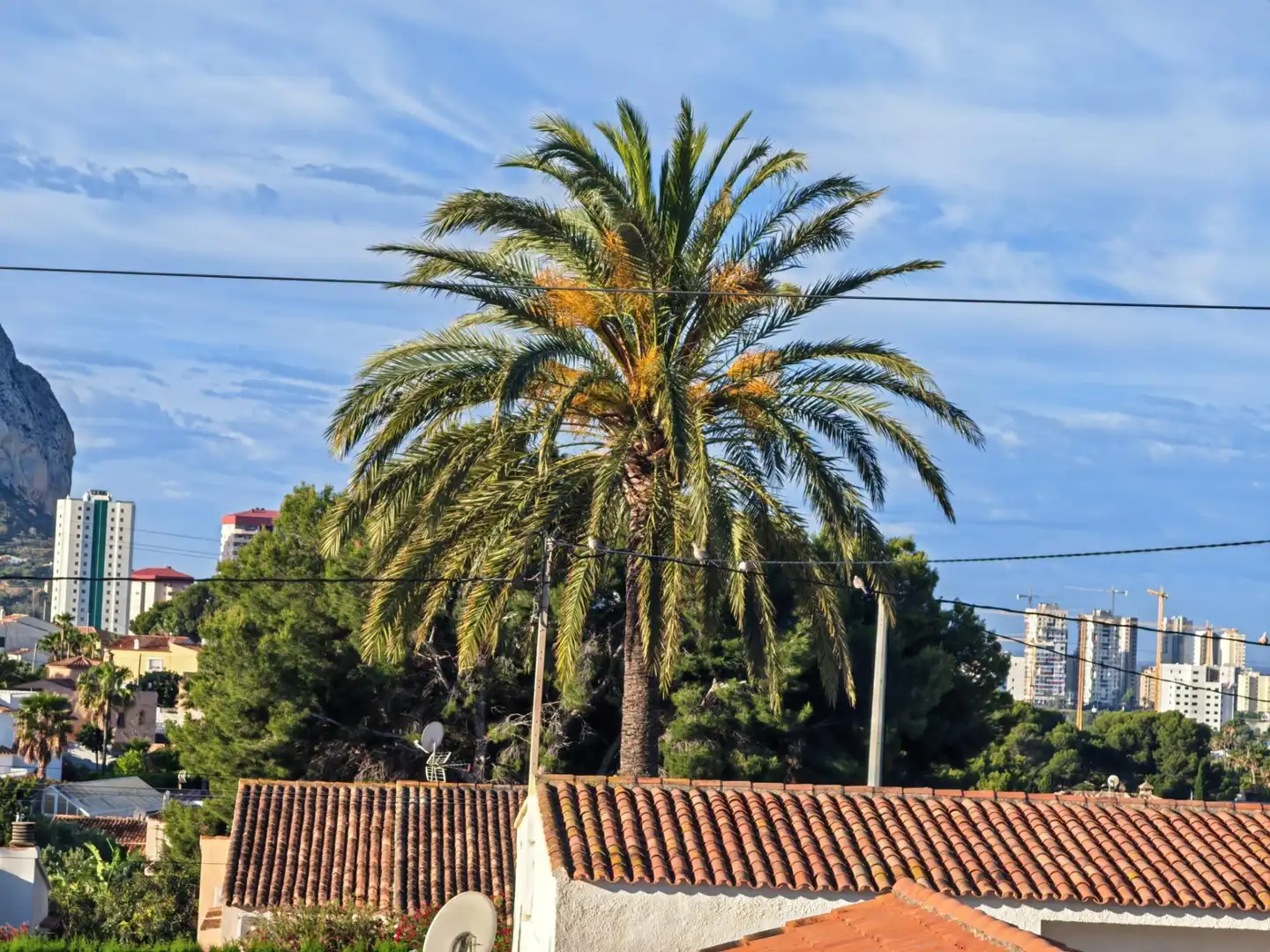 Vista exterior de Casa o xalet en venda en Calpe / Calp amb Aire condicionat, Calefacció i Jardí privat