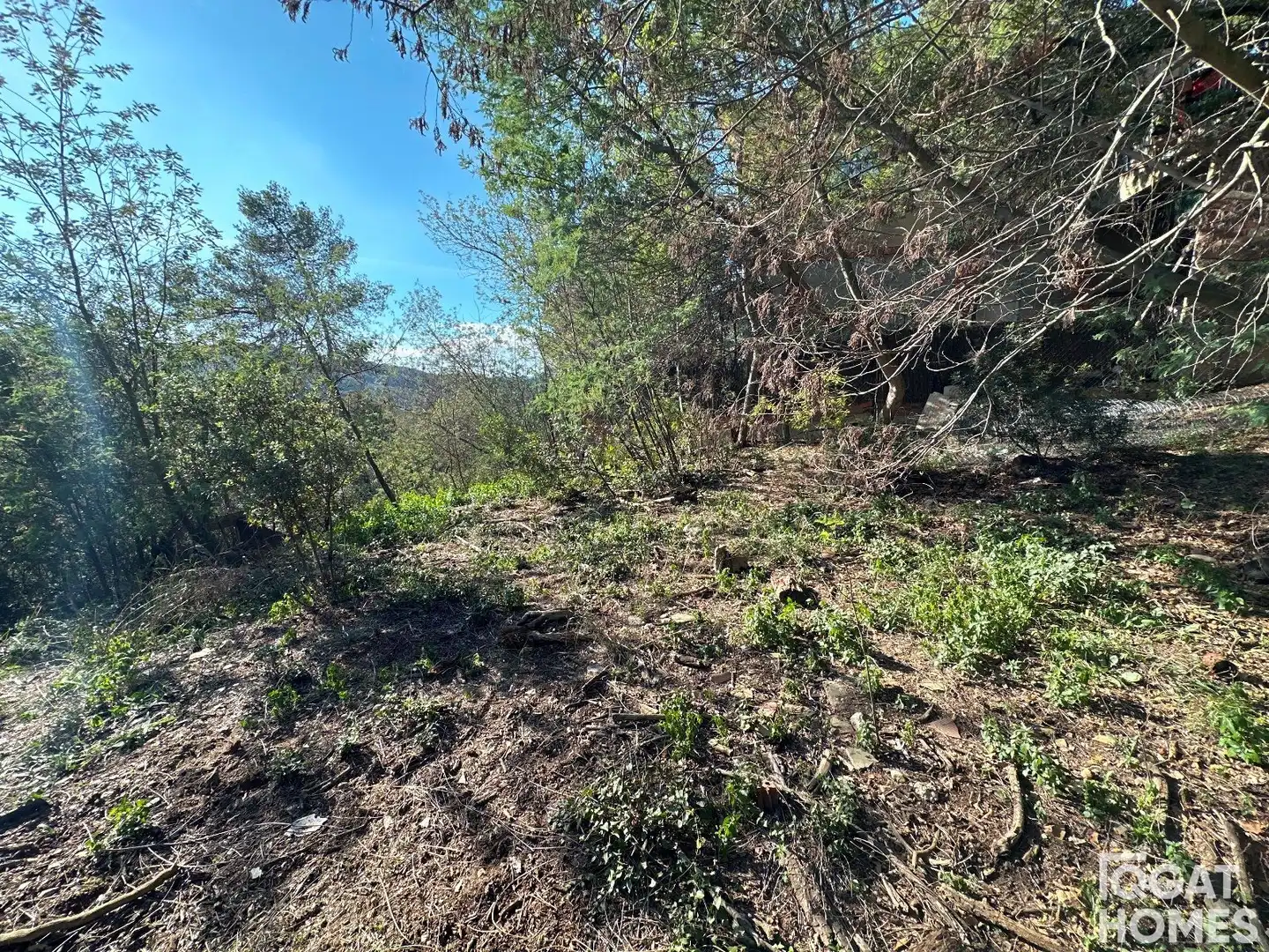 Rural land for sale in Verge de Montserrat, imagen 2
