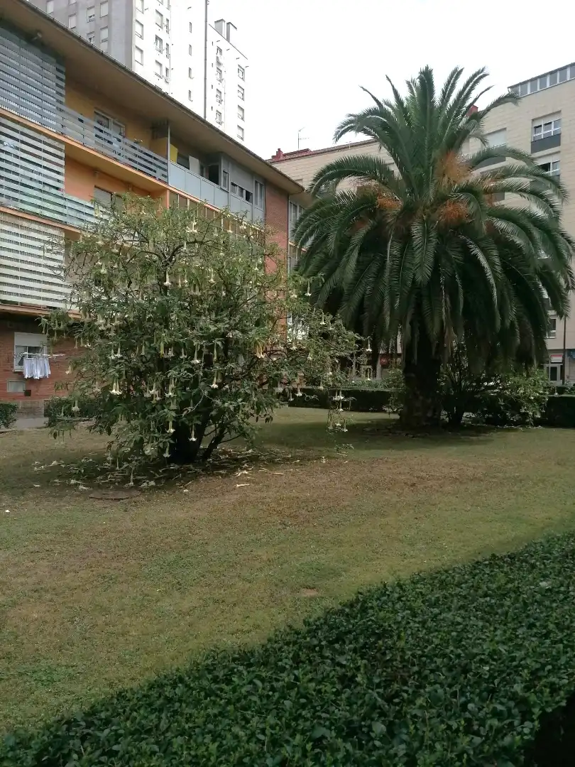 Jardí de Pis en venda en Gijón  amb Parquet, Terrassa i Moblat