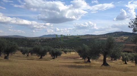 Foto 2 de Finca rústica en venda a Guareña, Badajoz