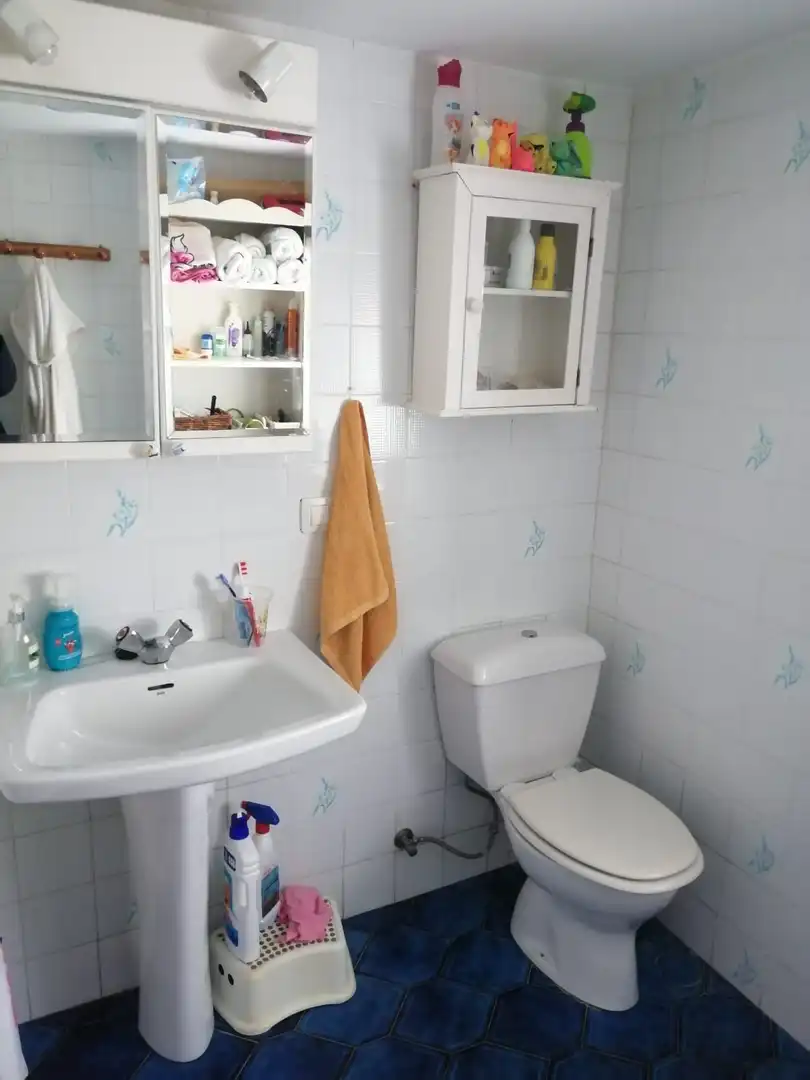 Bany de Casa o xalet en venda en Briviesca amb Calefacció, Jardí privat i Terrassa