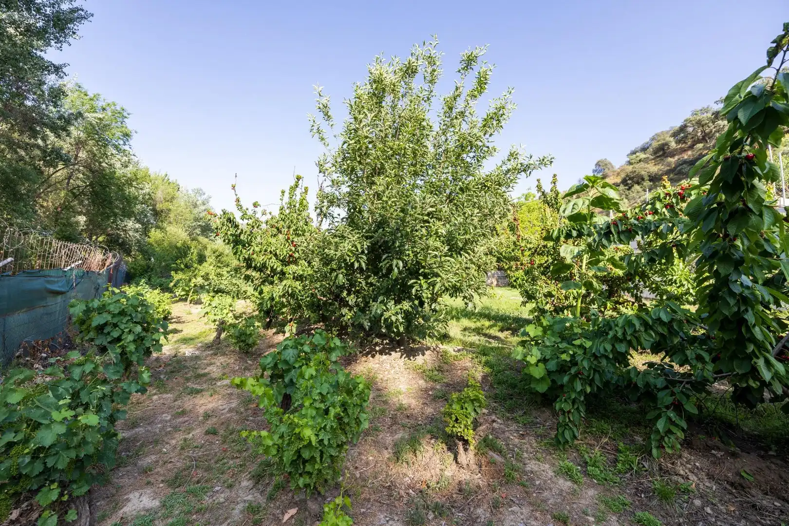 Terreni e lotti in vendita a Paseo la Duquesa 7, imagen 24