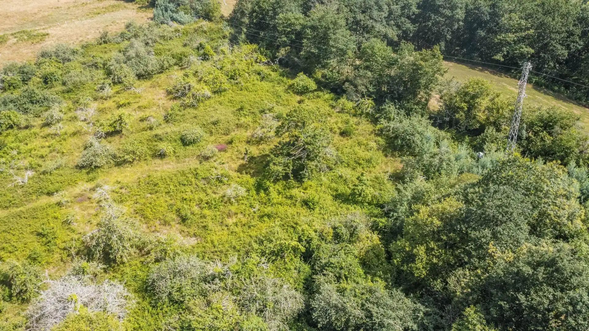 Rural land for sale in del pareo, imagen 12